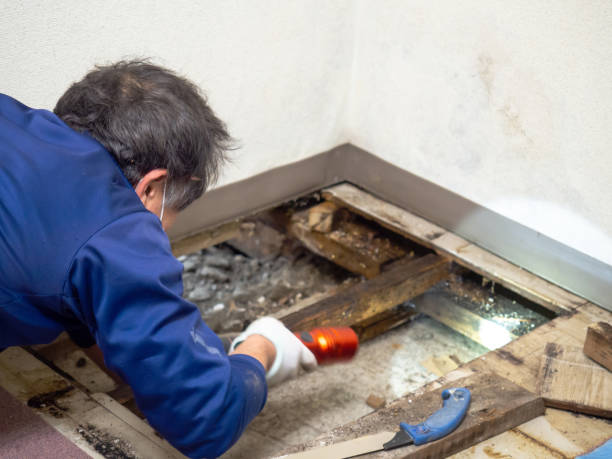 Water Damage Restoration in Rocky Top, TN